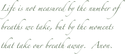 Life is not measured by the number of breaths we take, but by the moments that take our breath away.  Anon.