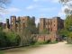 John DE HASTINGS, 3rd Earl of Pembroke / Elizabeth PLANTAGENET