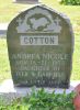 Andrea Nicole COTTON