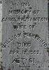 Marker - Caroline Tanton & Wil