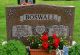 Irving Jay BOSWALL