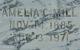 Marker - John Lewis Mill famil