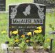 William J. MACAUSLAND